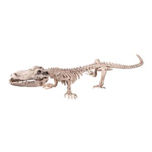Tierskelett Krokodil bleich Deko Standfigur 50x16cm Krokodilskelett beige
