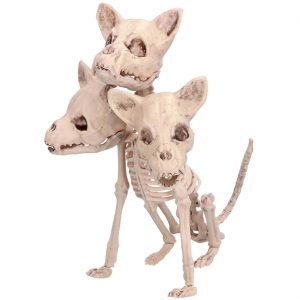 Tierskelett Hund bleich Deko Standfigur 42x20x31 Cerberus Zerberus 3 köpfiges Hundeskelett beige