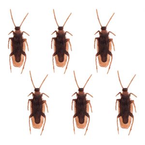 Insekten Kakerlaken Deko Standfiguren Set 2.5x7.5cm auch als Accessoire braun