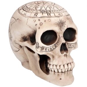 Schädel bleich Deko Standfigur 14x20x14cm mit magischen Zeichen Sonne Mond Runen ASTRONOMY beige-schwarz
