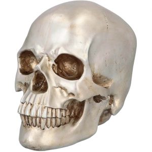 Schädel bleich Deko Standfigur 26x18x23cm mit Perlglanz Schimmer SHINE creme