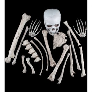 Skelett Teile bleich Deko Standfigur Knochen mit Schädel im Beutel beige