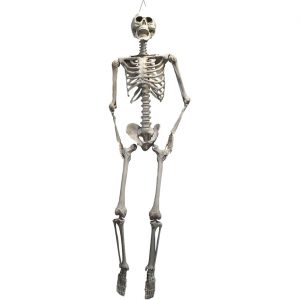Skelett bleich Deko Hängefigur 175cm beige
