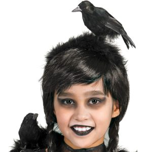 Vogel Krähe Haarreif mit Motiv Rabe mit echten Federn schwarz