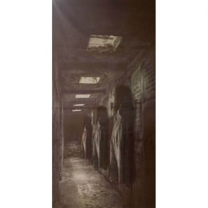 Irrenhaus Patienten Deko Wandbild Türfolie Zombie Asylum Irrenhaus Spalier Gehänkte 80x200cm Vorhang grau