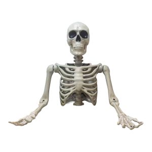 Skelett bleich VL Deko Standfigur Torso Tom halbes Riesenskelett 104cm beige