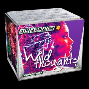 Batteriefeuerwerk Wild Thoughts LESLI ESSENTIALS