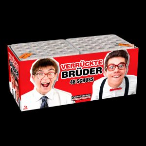 Batteriefeuerwerk Verrückte Brüder LESLI PROMO SERIE