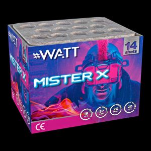 Batteriefeuerwerk Mister X LESLI #WATT