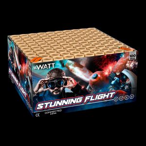 Batteriefeuerwerk Stunning Flight LESLI #WATT