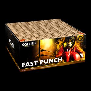 Batteriefeuerwerk Fast Punch LESLI XQLUSIF