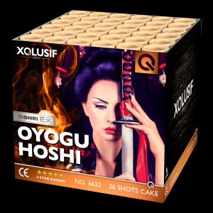 Batteriefeuerwerk Oyogu Hoshi LESLI XQLUSIF