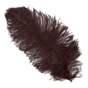 Einzelfeder Straußenfeder 55cm Spadona Straußenfeder Top-Qualität 55-60cm einfarbig schwarz