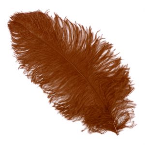 Einzelfeder Straußenfeder 55cm Spadona Straußenfeder Top-Qualität 55-60cm einfarbig braun