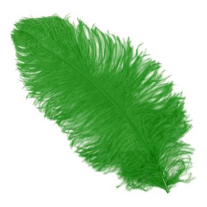 Einzelfeder Straußenfeder 55cm Spadona Straußenfeder Top-Qualität 55-60cm einfarbig grün