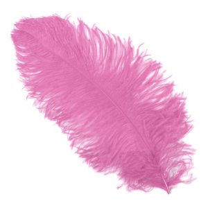Einzelfeder Straußenfeder 55cm Spadona Straußenfeder Top-Qualität 55-60cm einfarbig rosa