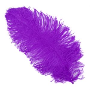 Einzelfeder Straußenfeder 55cm Spadona Straußenfeder Top-Qualität 55-60cm einfarbig lila