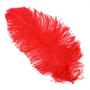 Einzelfeder Straußenfeder 55cm Spadona Straußenfeder Top-Qualität 55-60cm einfarbig rot