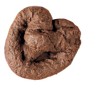 Kackehaufen Deko Accessoire Artikel Scherzartikel Jumbo Shit braun